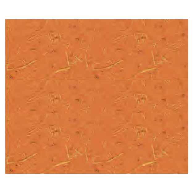 ΧΑΡΤΙ URSUS COCO 50x70/250gr 41 ORANGE