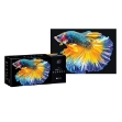 Εικόνα της ΠΑΖΛ INTERDRUK 250 COLORFUL NATURE 6 FISH