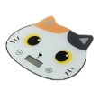 Εικόνα της ΖΥΓΑΡΙΑ i-TOTAL XL2890 ΚΟΥΖΙΝΑΣ ORANGE CAT