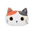 Εικόνα της ΜΑΞΙΛΑΡΙ i-TOTAL XL2206B HEAD ORANGE CAT 40x30x15cm