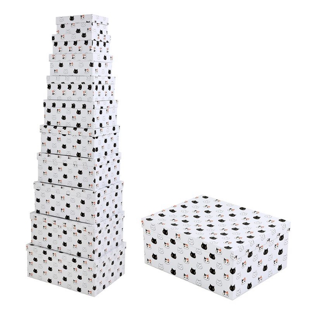 ΚΟΥΤΙΑ i-TOTAL XL2539 CAT SET 10 SIZES 