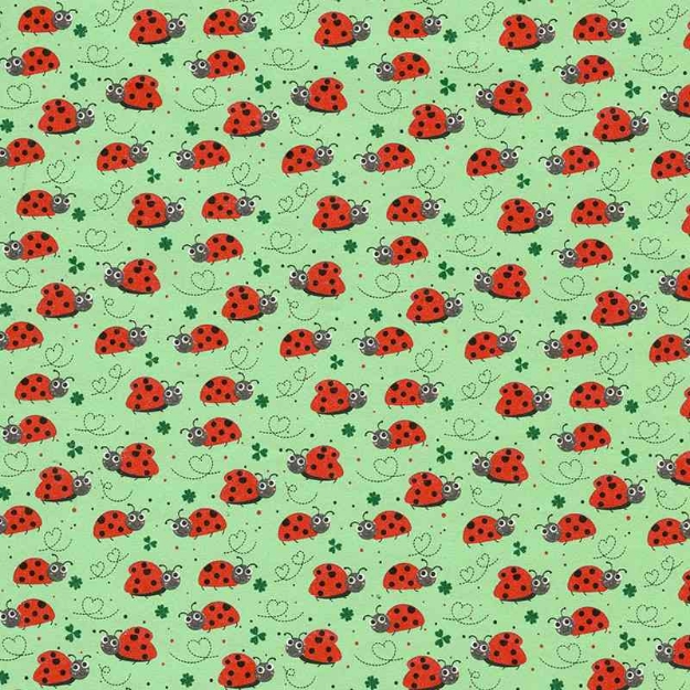 ΧΑΡΤΙ ΠΕΡΙΤΥΛΙΓΜΑΤΟΣ 242H 70Χ100 ΚΛΑΣΙΚΟ 25φ