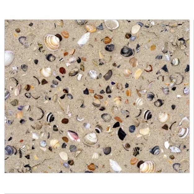 ΧΑΡΤΙ URSUS 50x68/300gr ΚΟΧΥΛΙΑ ΣΤΗΝ ΑΜΜΟ 10Φ