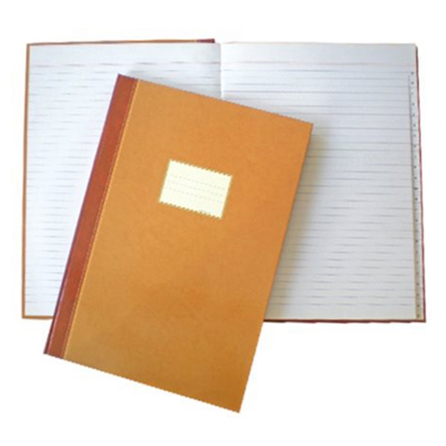 ΦΥΛΛΑΔΕΣ ΕΥΡΕΤΗΡΙΑ NTELON 30Χ40 100φ ΚΠ