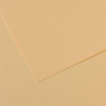 ΧΑΡΤΙ CANSON Mi-Teintes 50x65 160gr