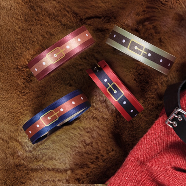 ΚΟΡΔΕΛΕΣ BRIZZOLARI ΔΙΠΛΟ ΣΑΤΕΝ RED DR035/07 15mX25mm