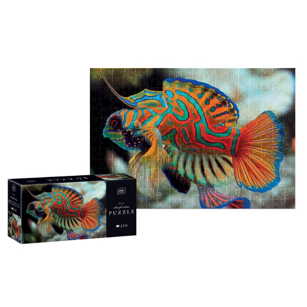 ΠΑΖΛ INTERDRUK 250 COLOURFUL NATURE 11 MANDARINFISH
