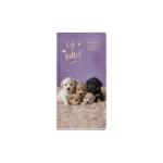 DIARY 522447 DOGS & CATS ΕΒΔΟΜΑΔΙΑΙΟ 8x16cm