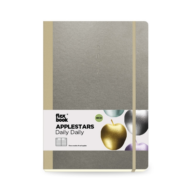 DIARY 800446 APPLESTARS SILVER ΗΜΕΡΗΣΙΟ 17x24cm