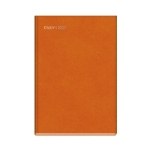 DIARY 803027 ALL TIMES CLASSIC 300 ΗΜΕΡΗΣΙΟ 17x24cm